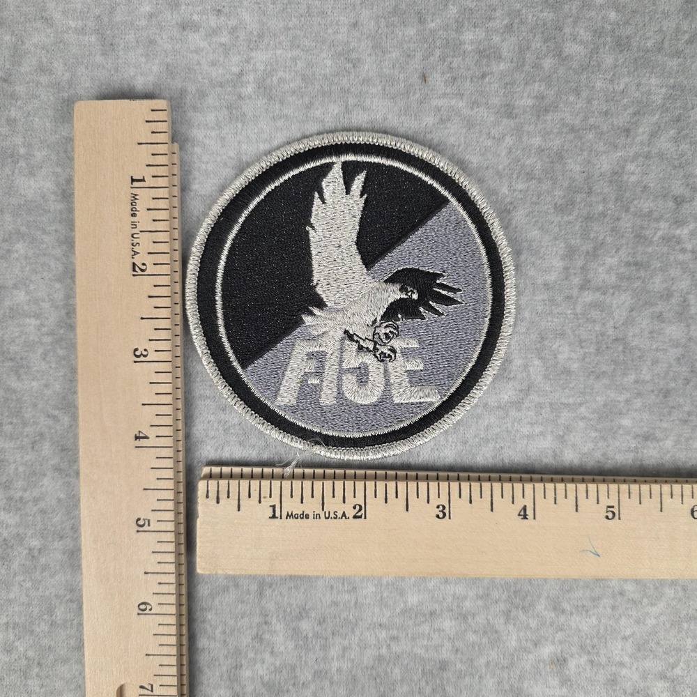 Embroidered Eagle FBE Logo Patch Gray Black Round Sew On Badge Applique
